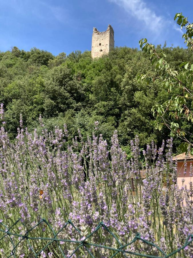 מלון Torre Orsina La Casa Dei Nonni מראה חיצוני תמונה